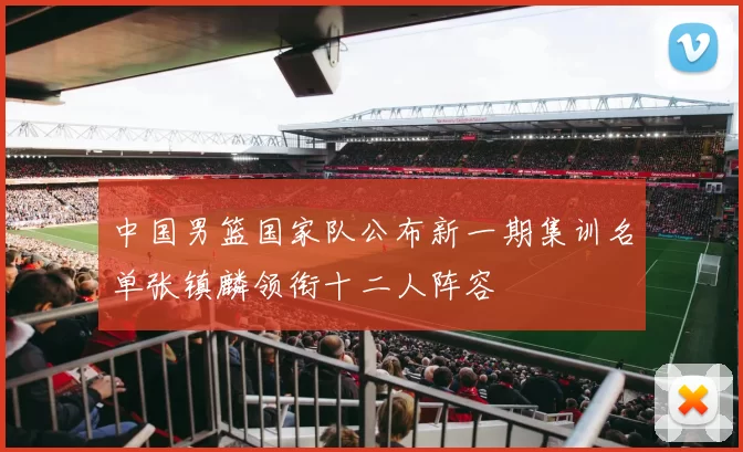 中国男篮国家队公布新一期集训名单张镇麟领衔十二人阵容
