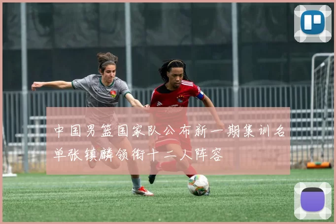 中国男篮国家队公布新一期集训名单张镇麟领衔十二人阵容